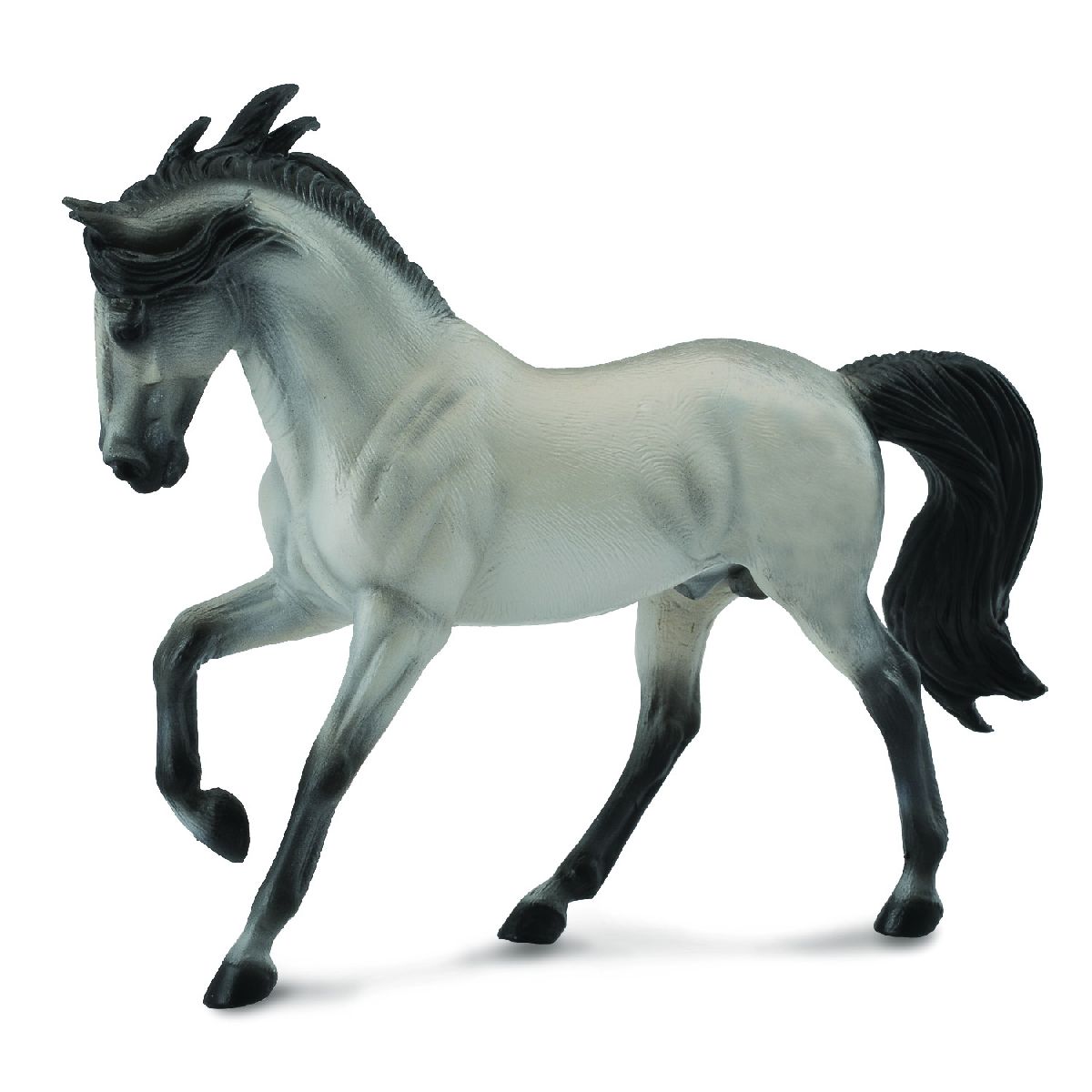 Andalusian Stallion - XL