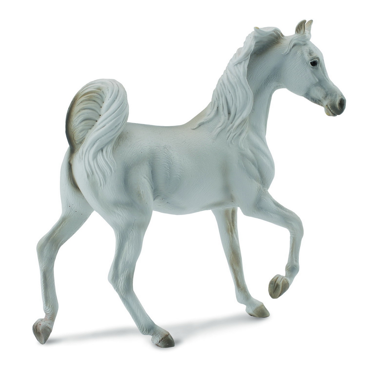 Arabian Mare Grey