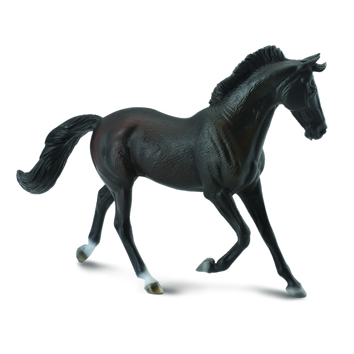 Thoroughbred Mare Black