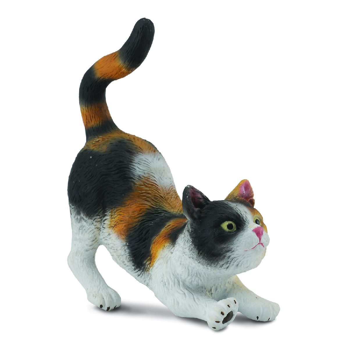 3-Colour Cat Stretch