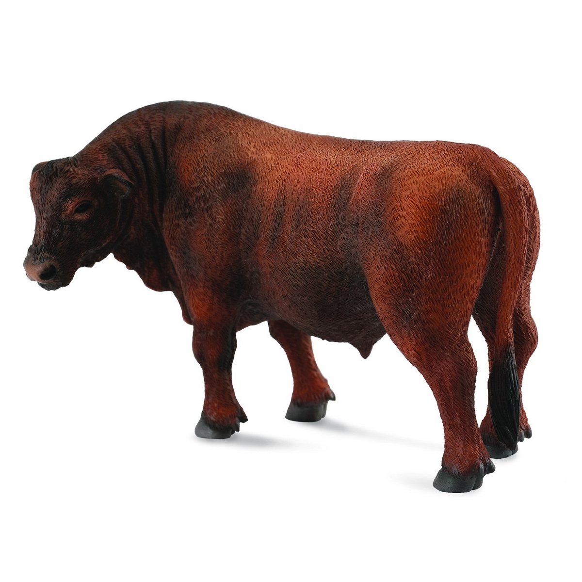 Toro Red Angus