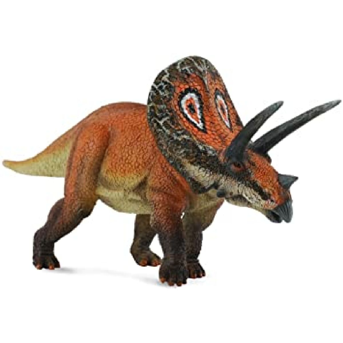 88512.COL Torosaurus