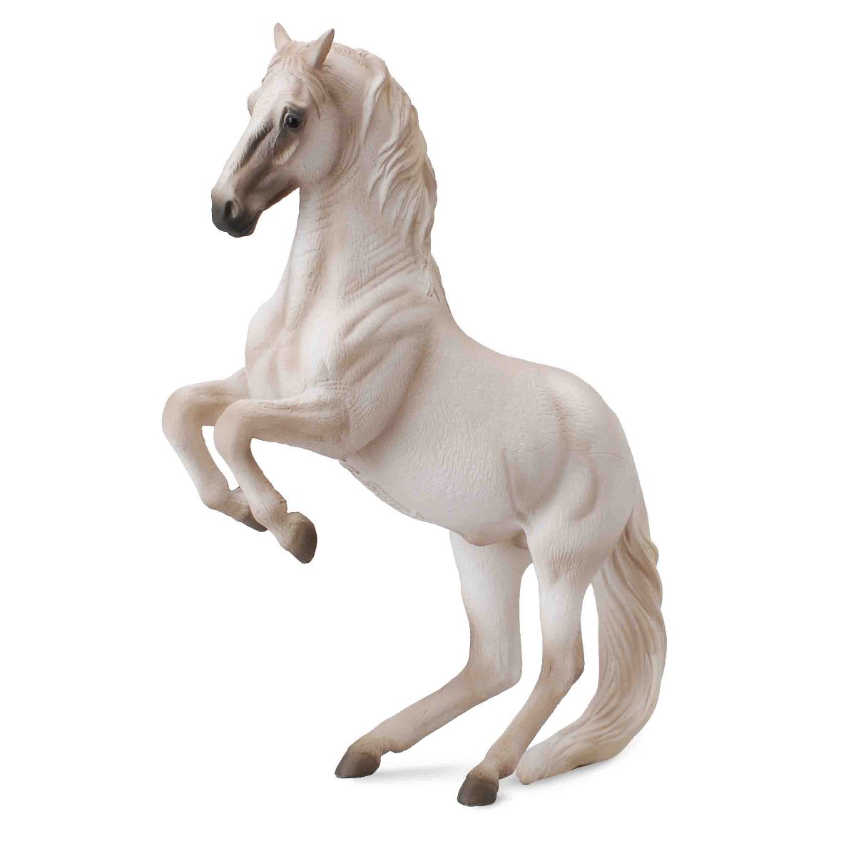 Lipizzaner Stallion - XL