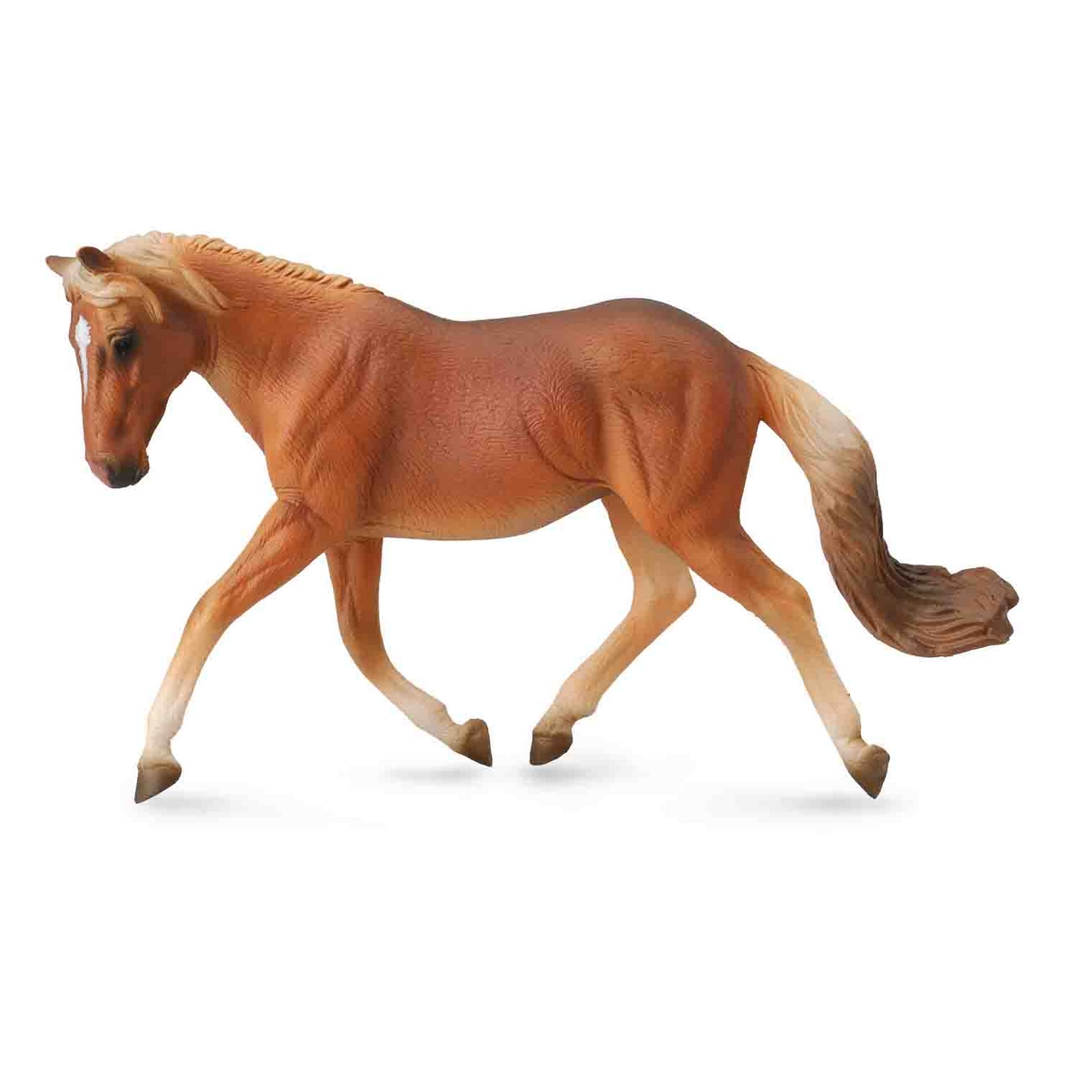 Haflinger Mare