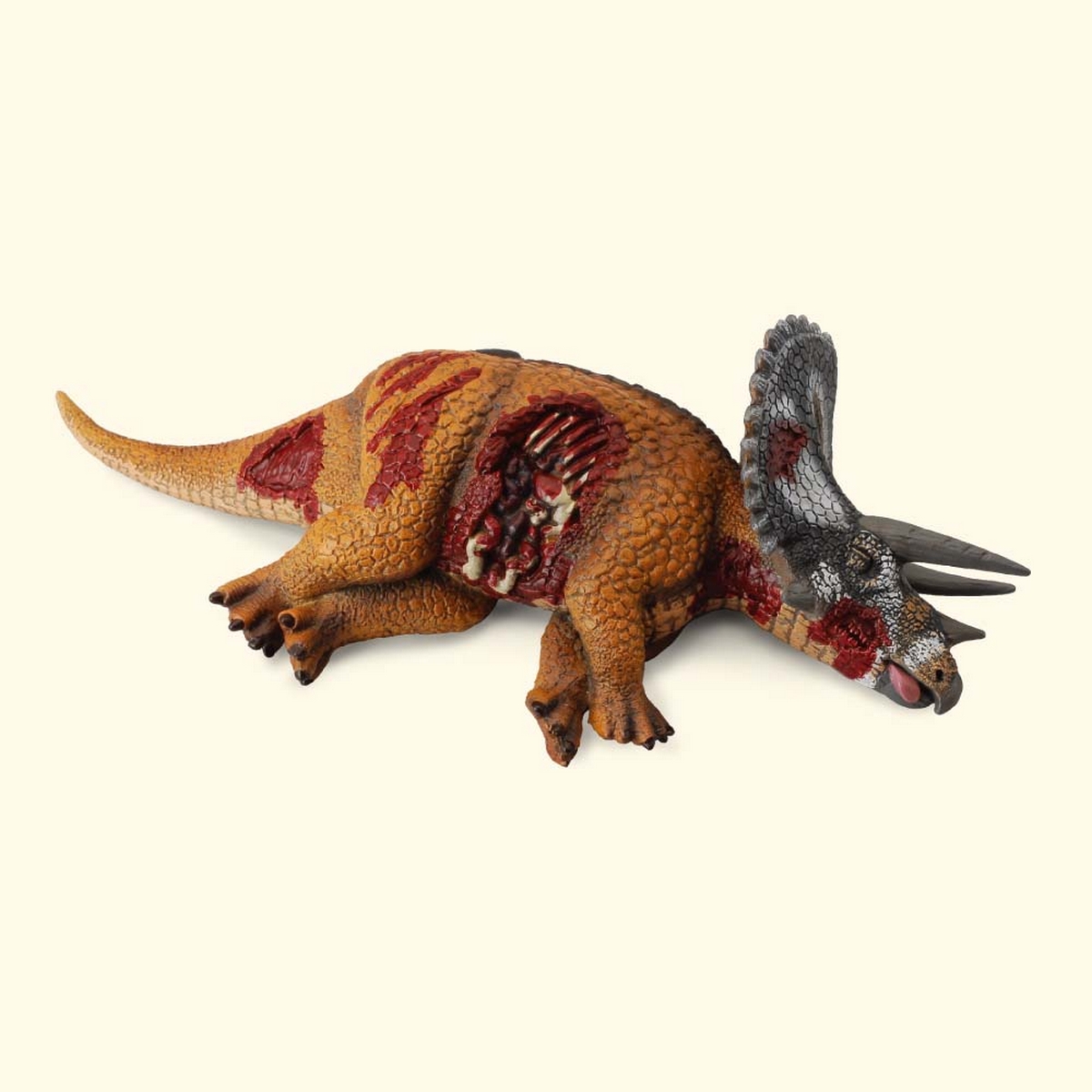 Triceratops ferito