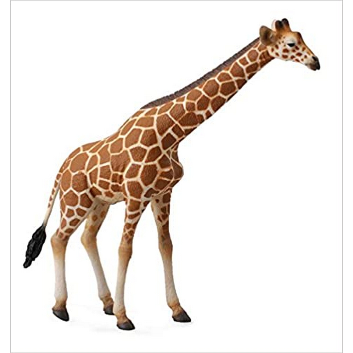 Giraffa