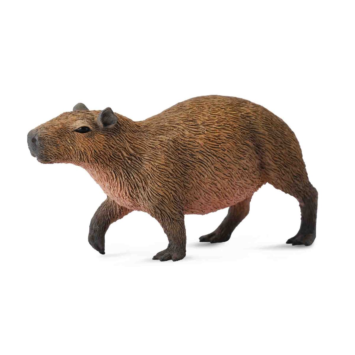 Capibara