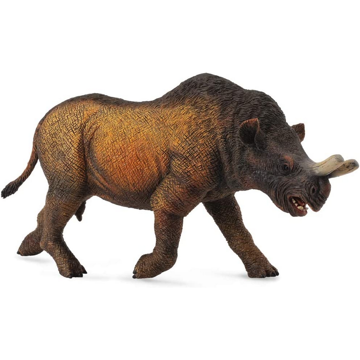 Megacerops