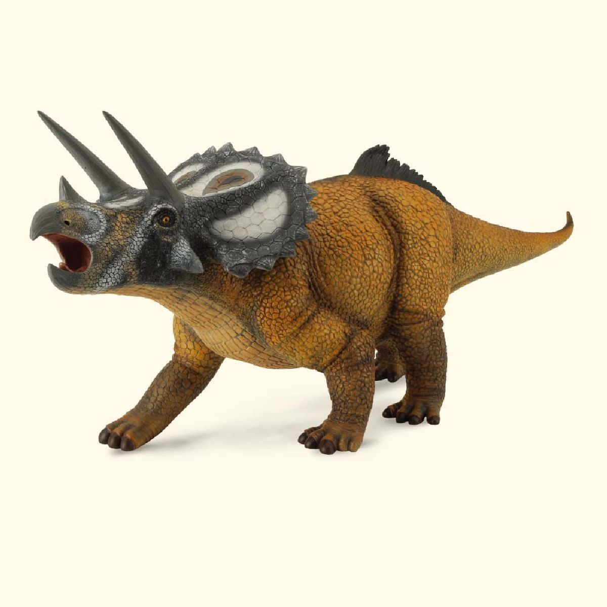 Triceratops scala