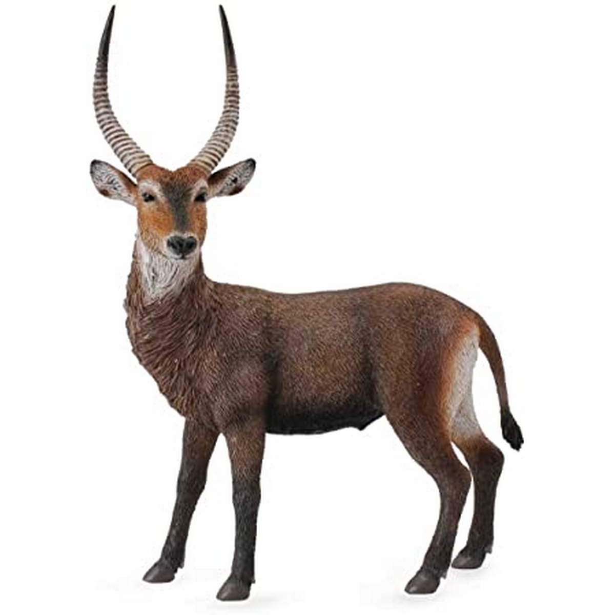 Antilope Cobo