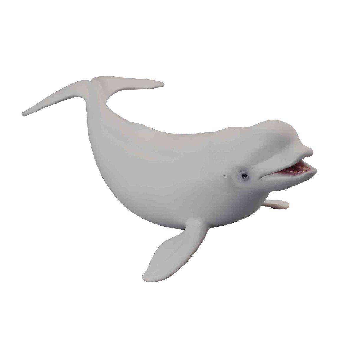 Beluga