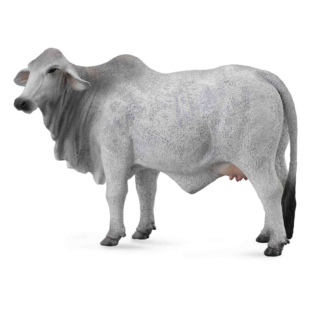 Mucca Brahman
