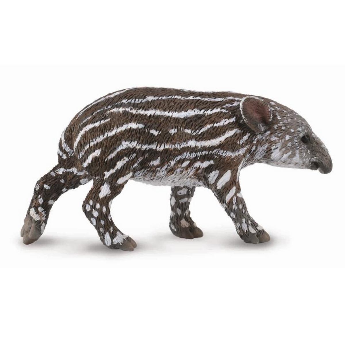 Tapiro di Baird Cucciolo