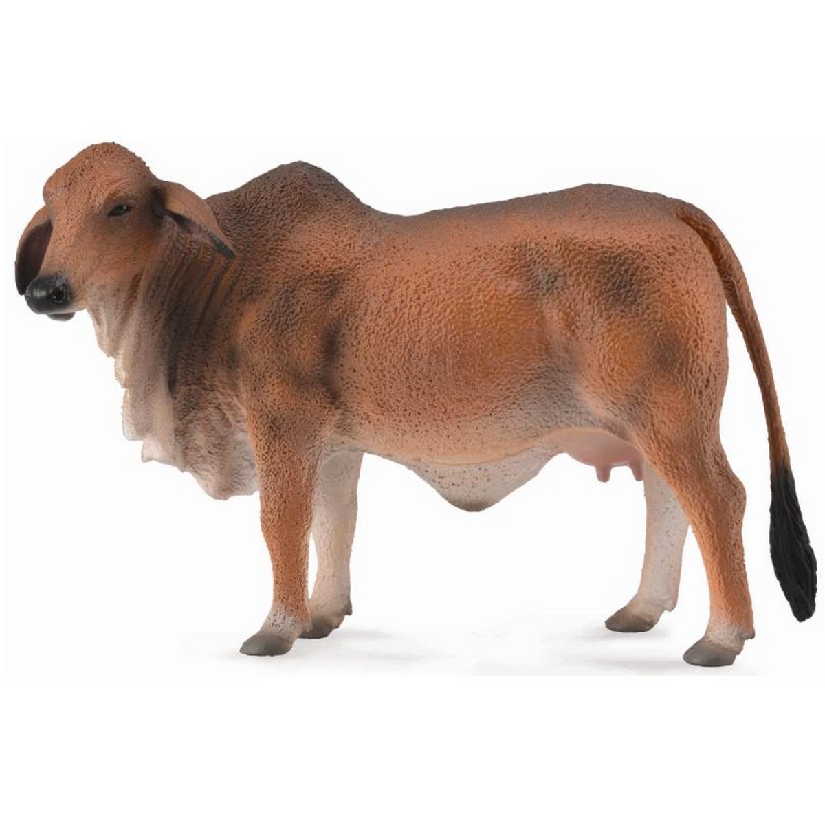Mucca Red Brahman