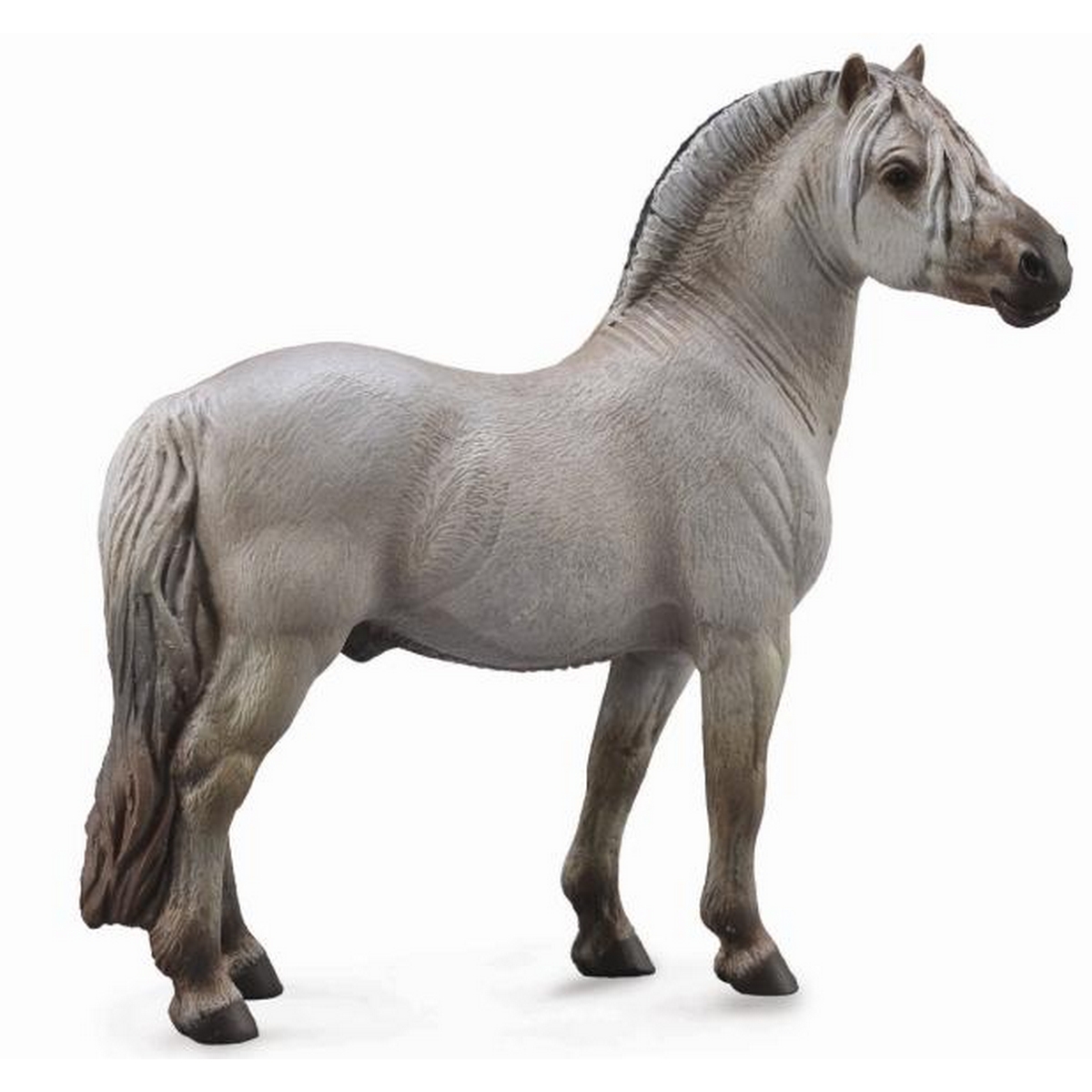 Stallone Fjord Grigio