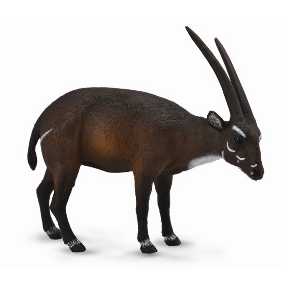 Saola