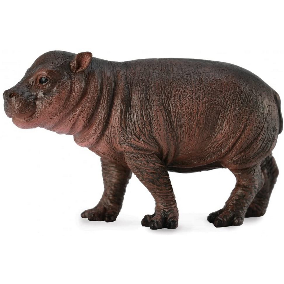 Ippopatamo Pigmeo Cucciolo