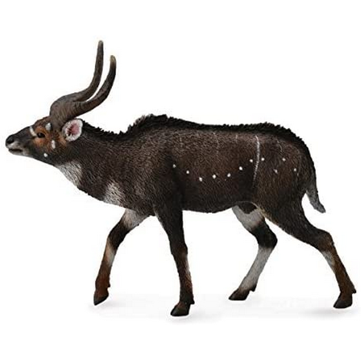 Antilope Nyala di Montagna