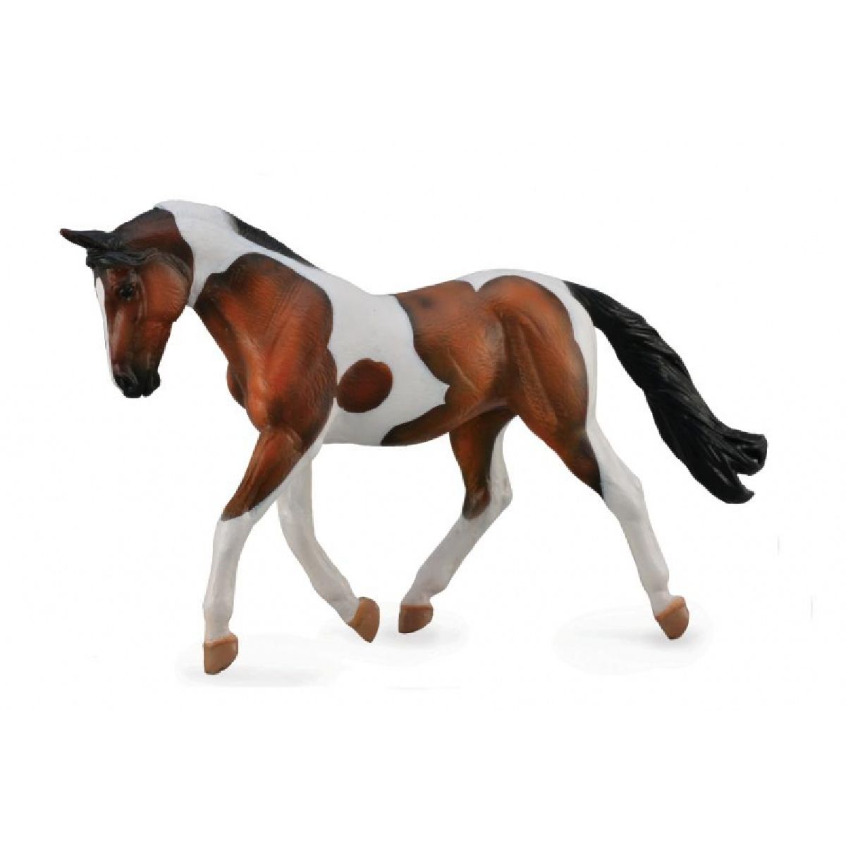 Pinto Mare - Bay - XL