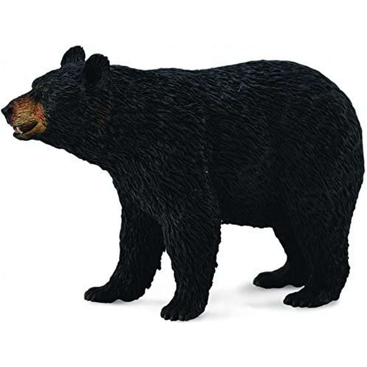 Oso Nero Americano