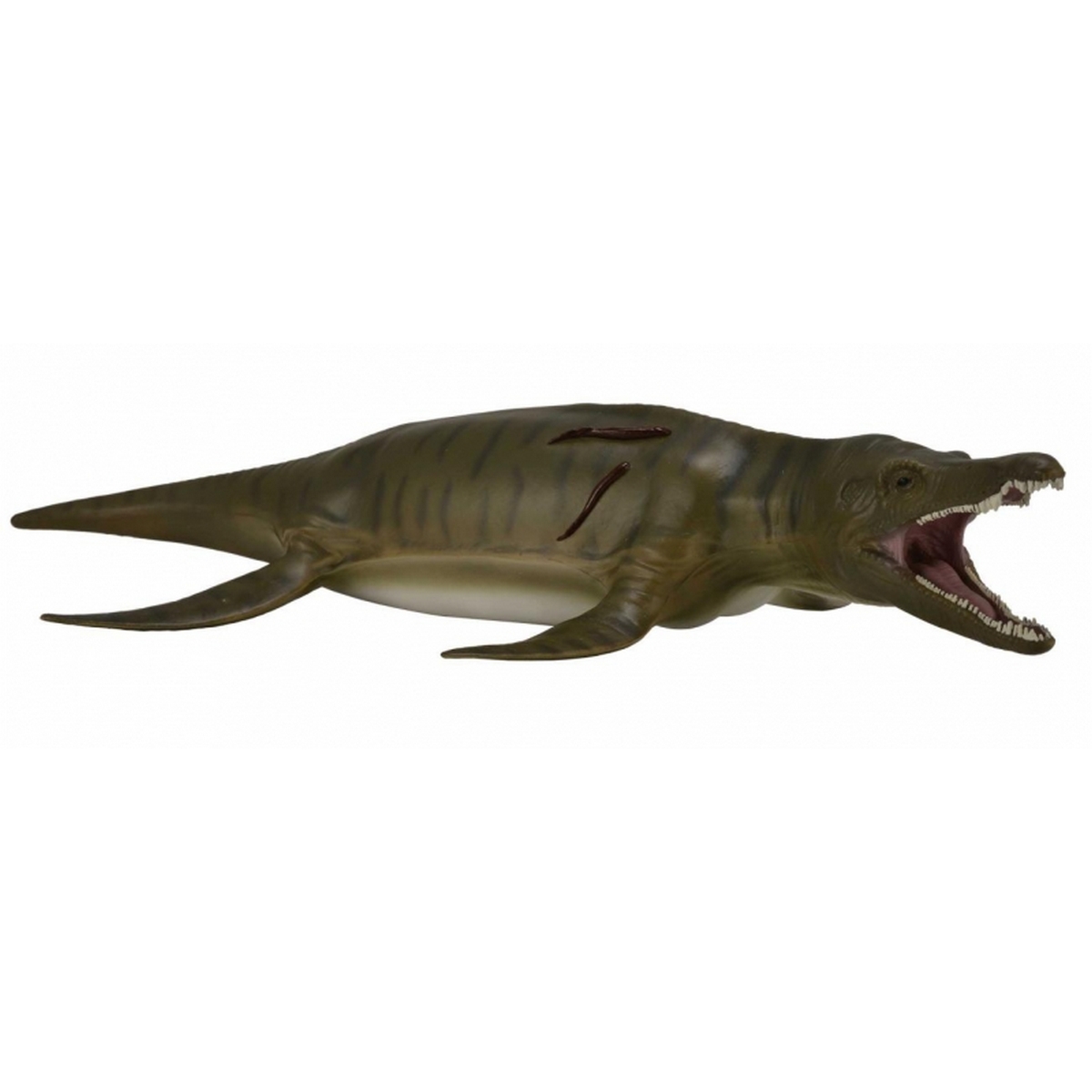Pliosaurus