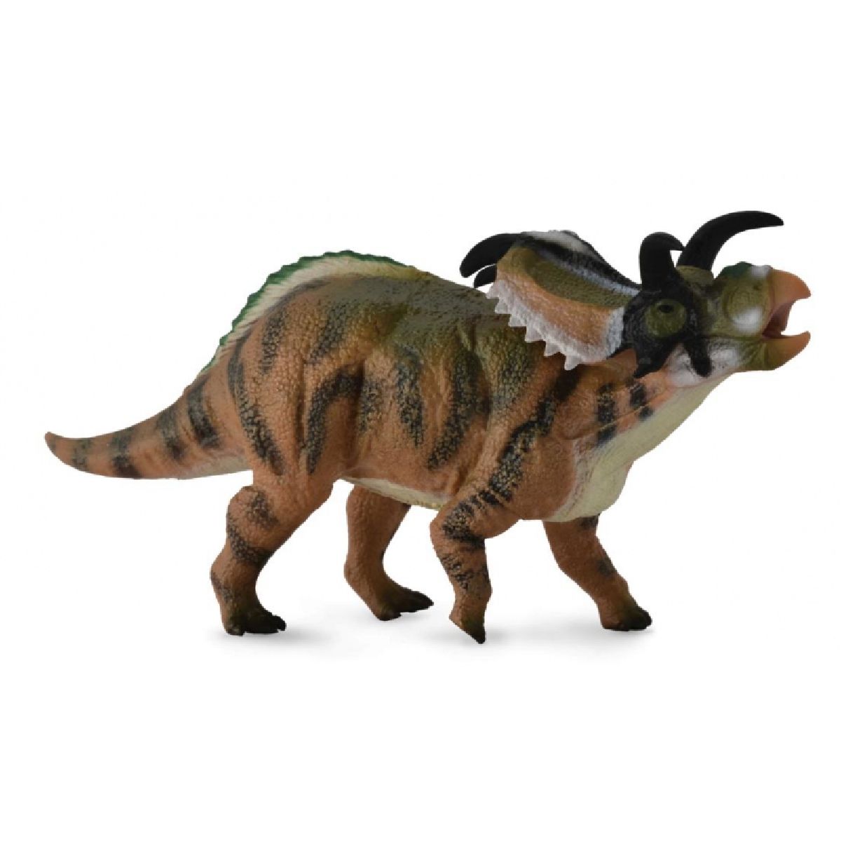 Medusaceratops