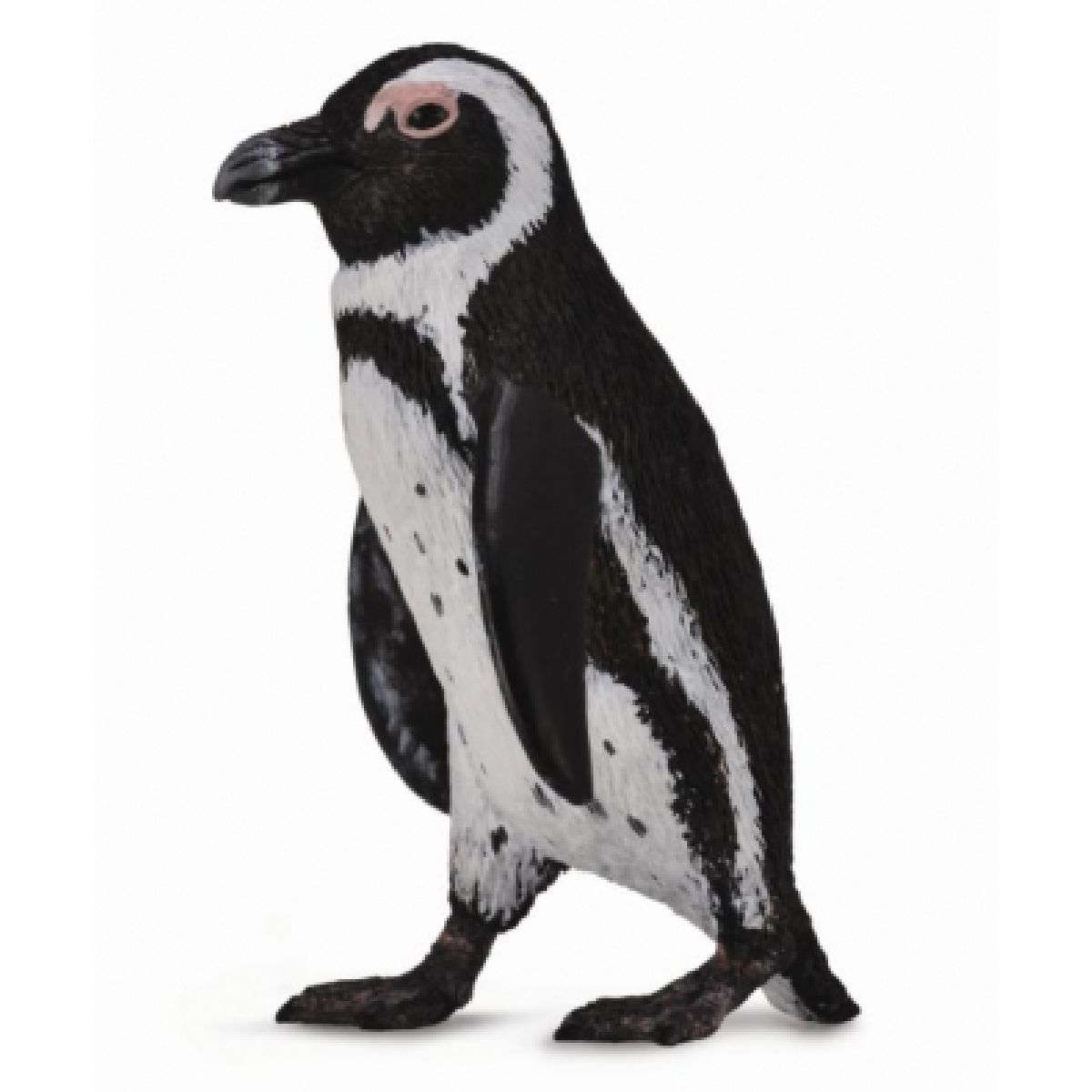 Pinguino del Capo