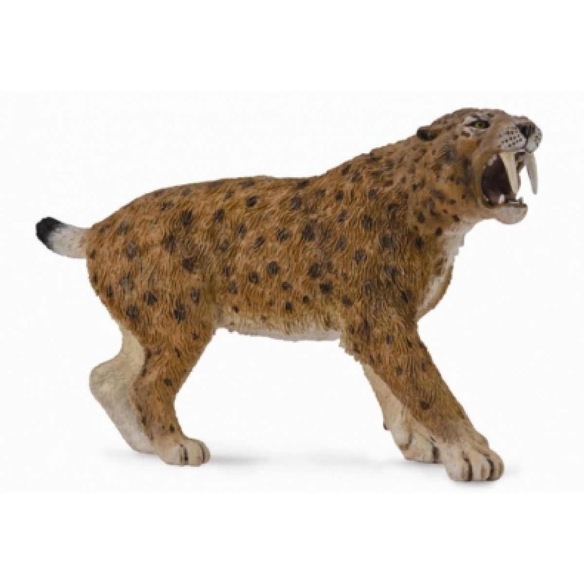 Smilodon