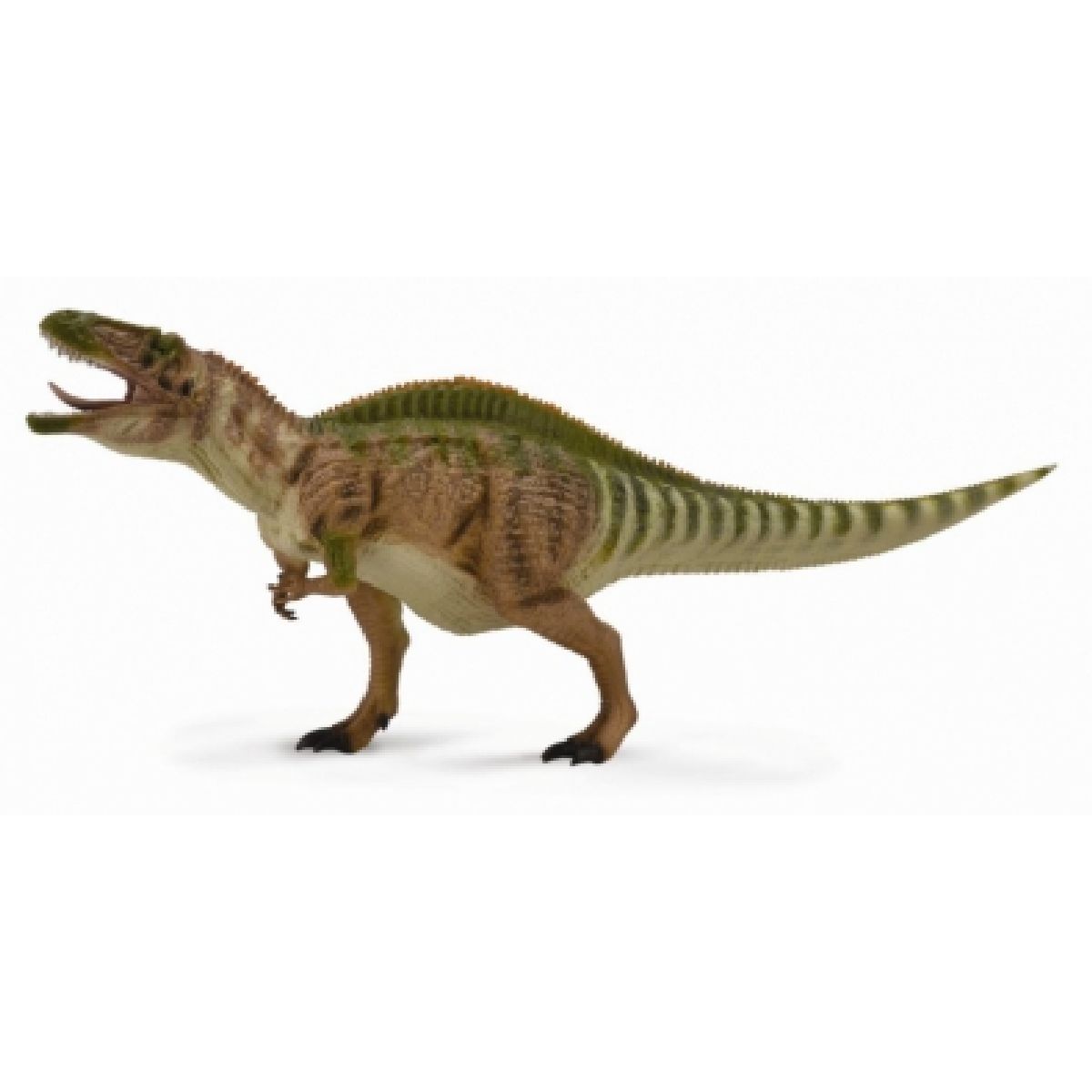 Acrocanthosaurus