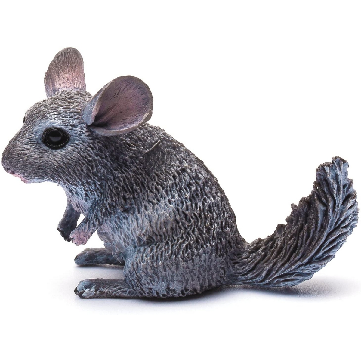 Cincillà a pelo lungo