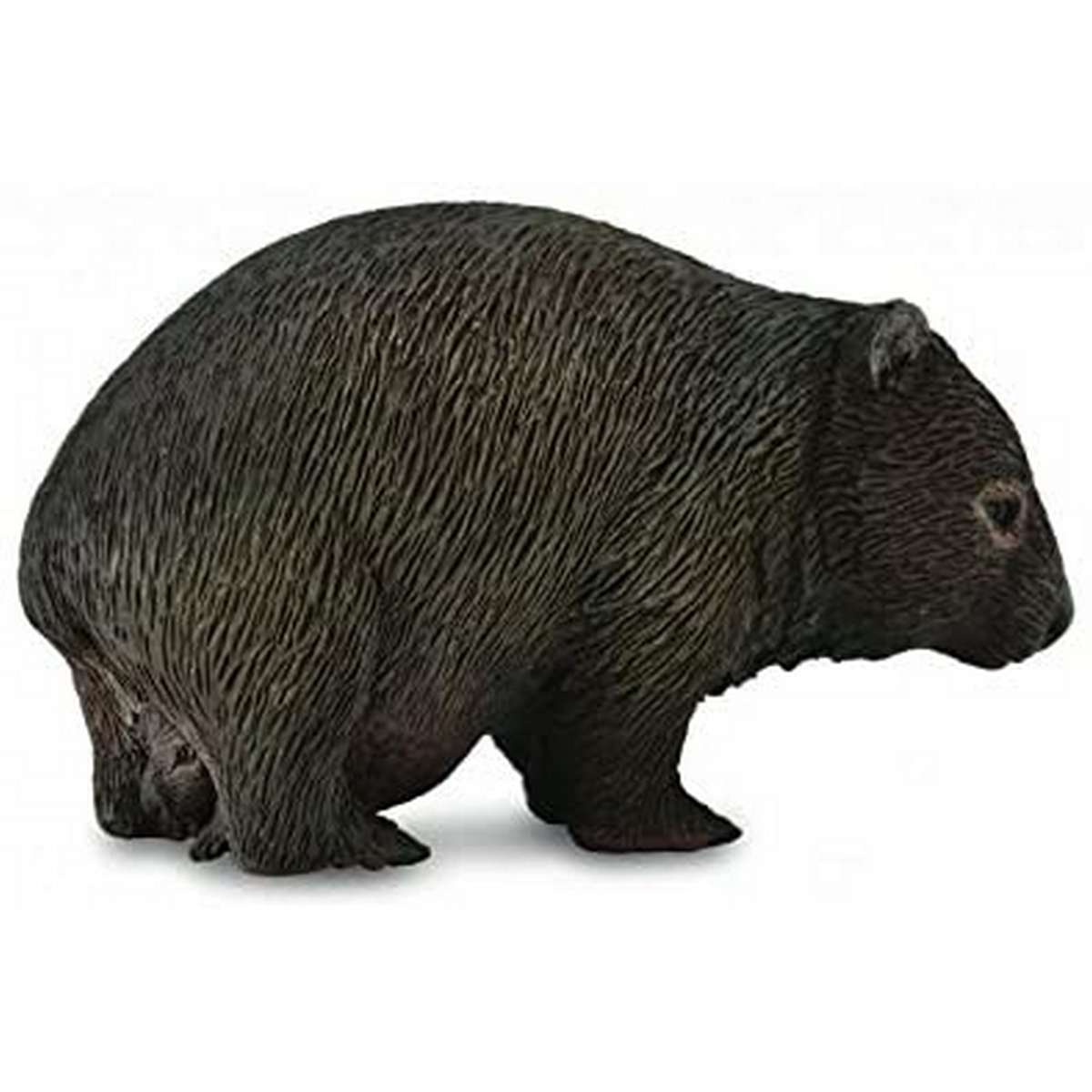 Wombat