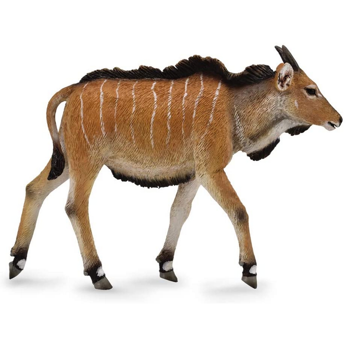 Antilope Eland Cucciolo