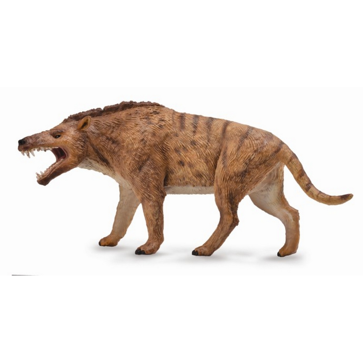 Andrewsarchus