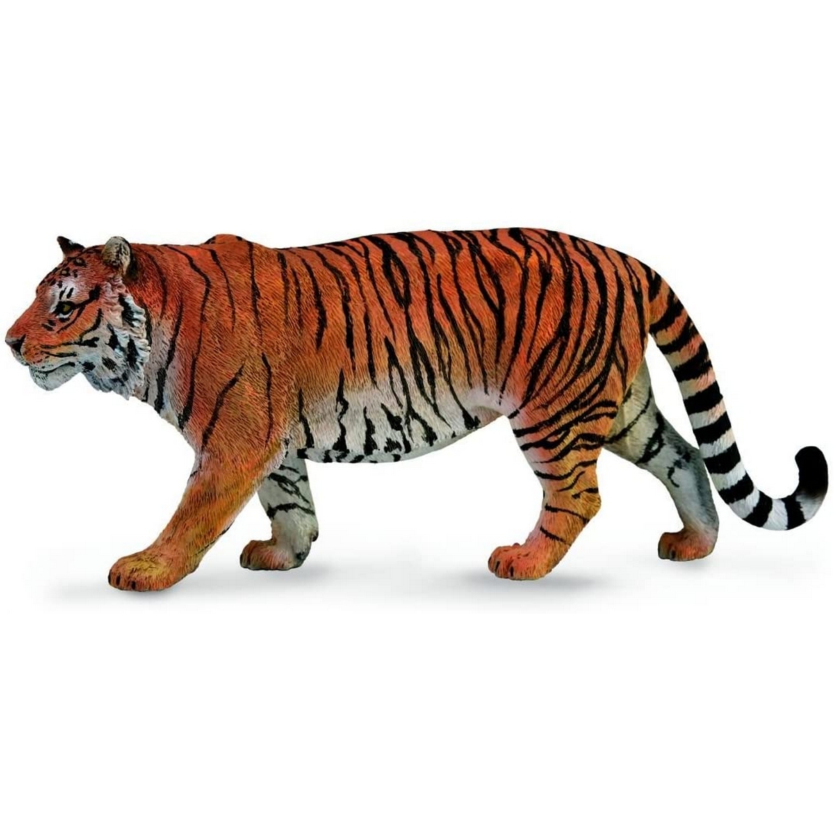 Tigre Siberiana