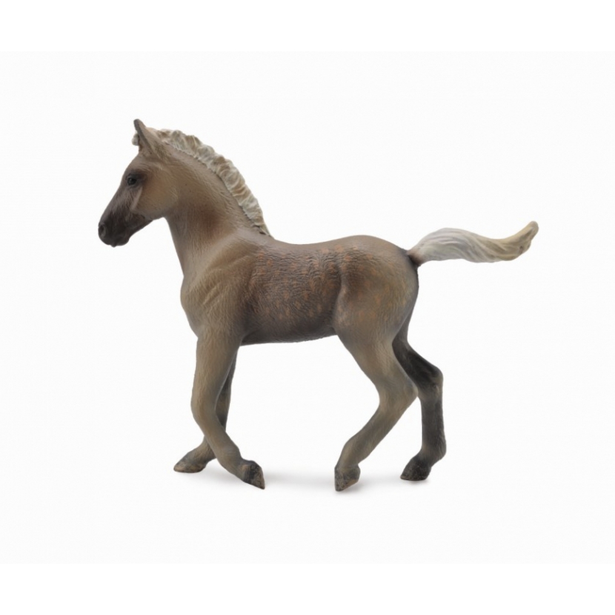 Puledro Rocky Mountain