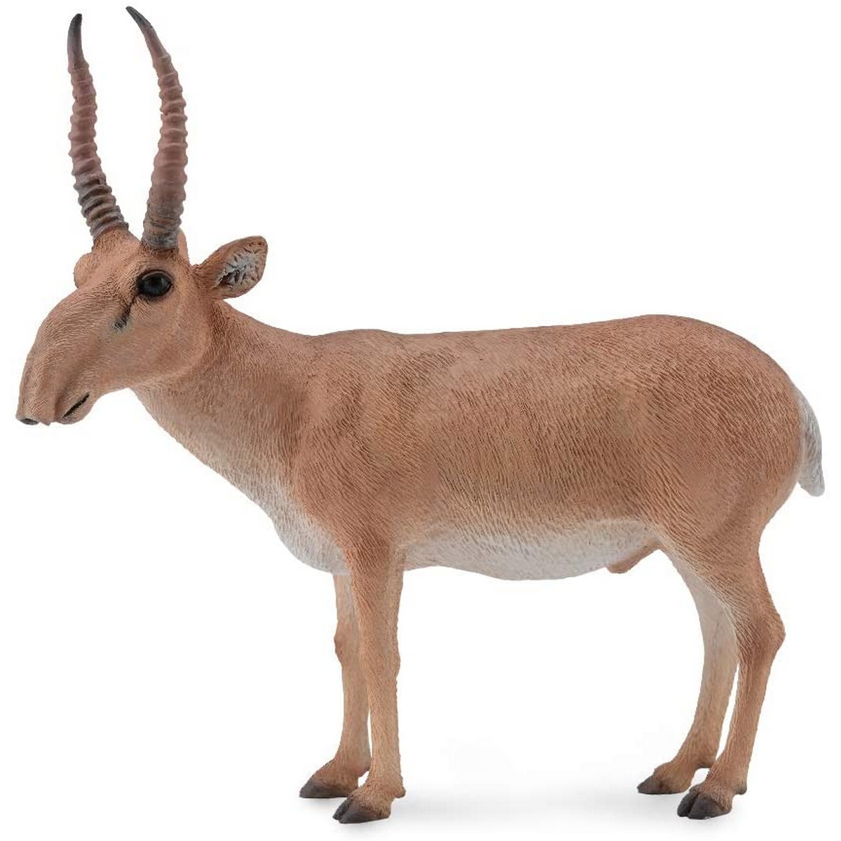 Antilope Saiga