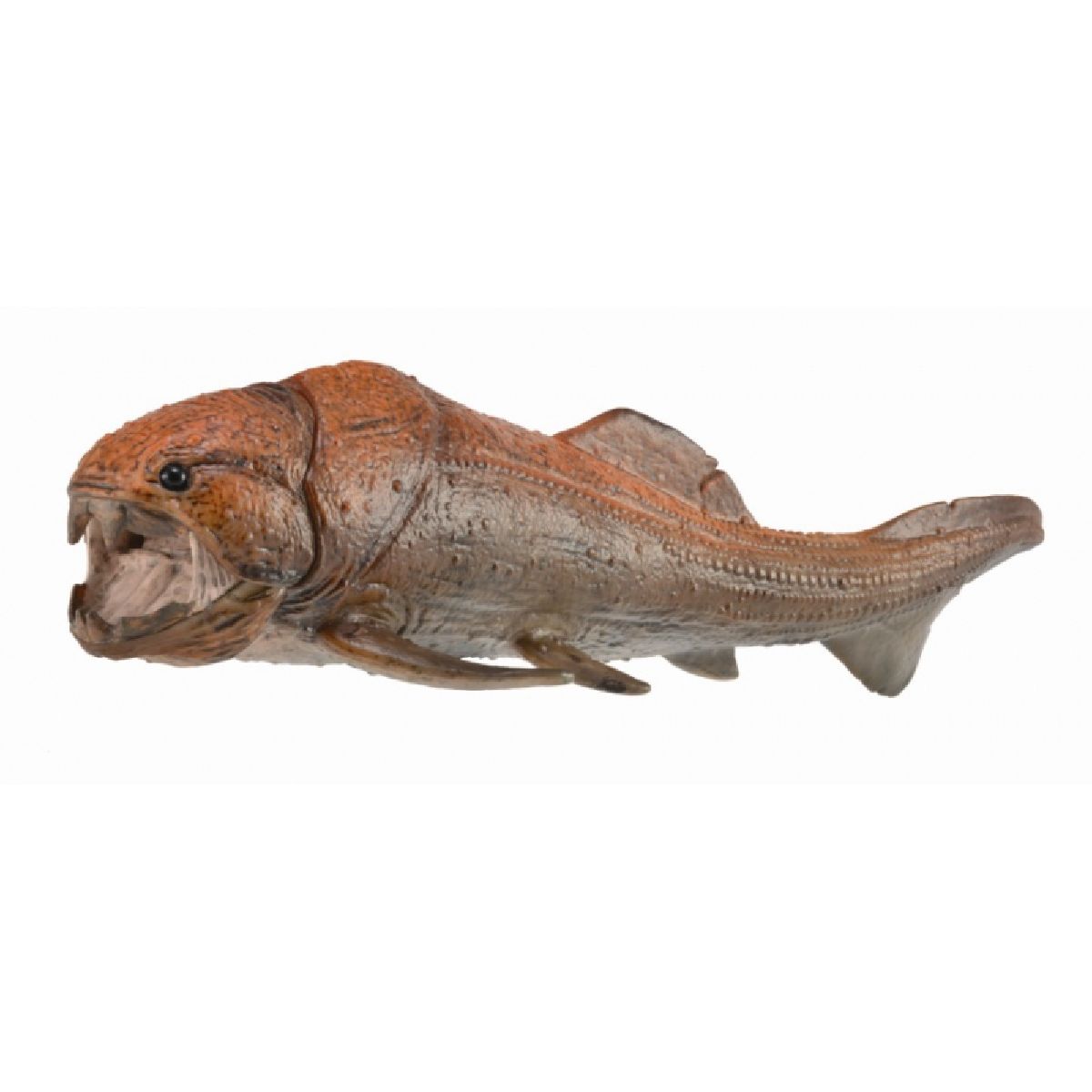 Dunkleosteus