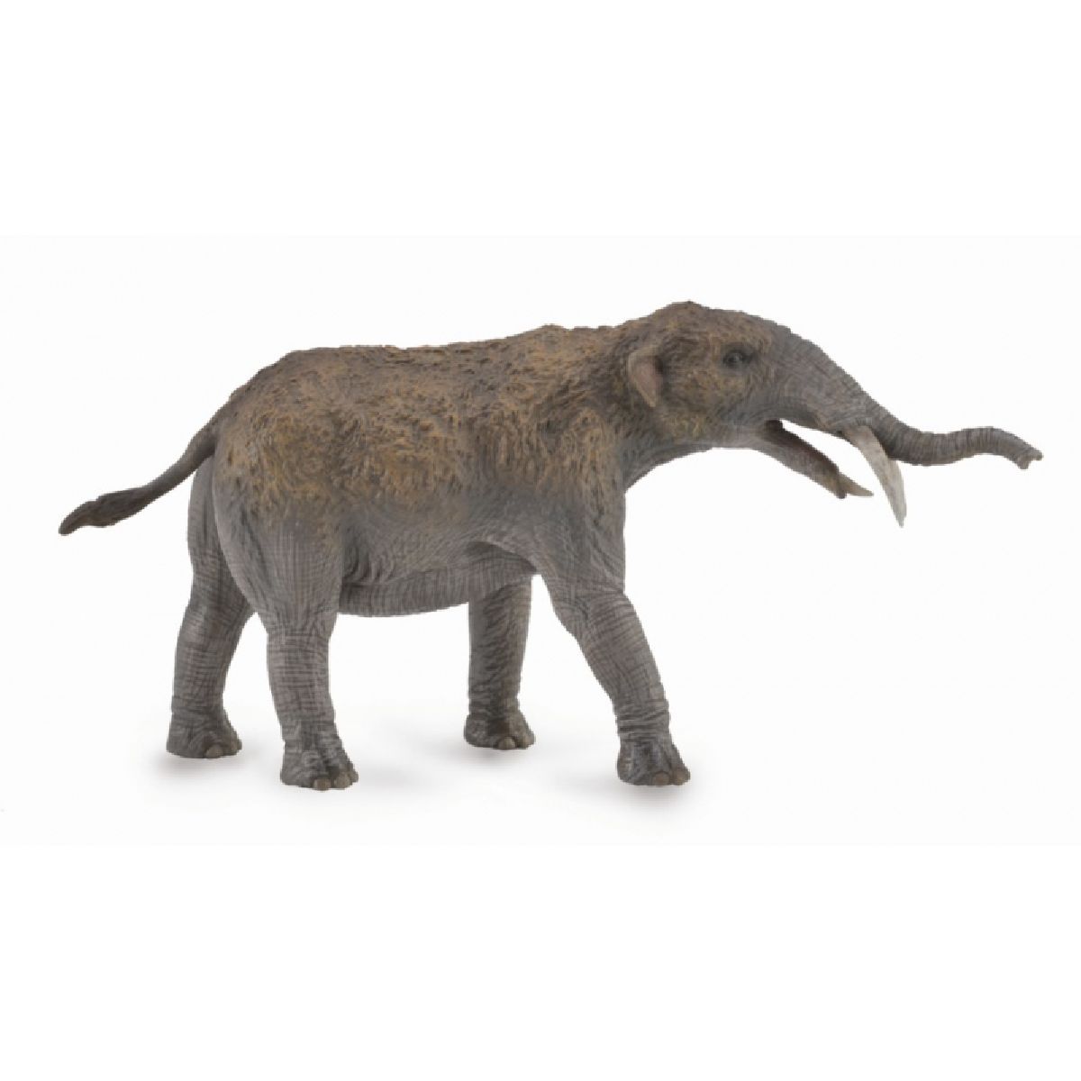 Gomphotherium