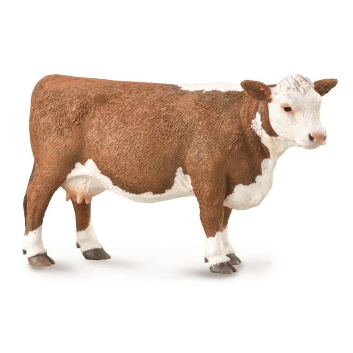 Mucca Hereford