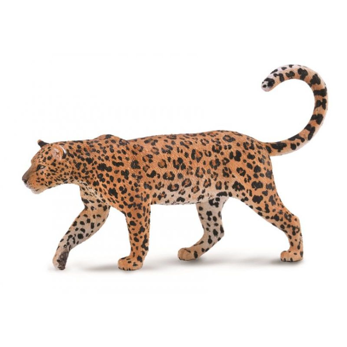 Leopardo