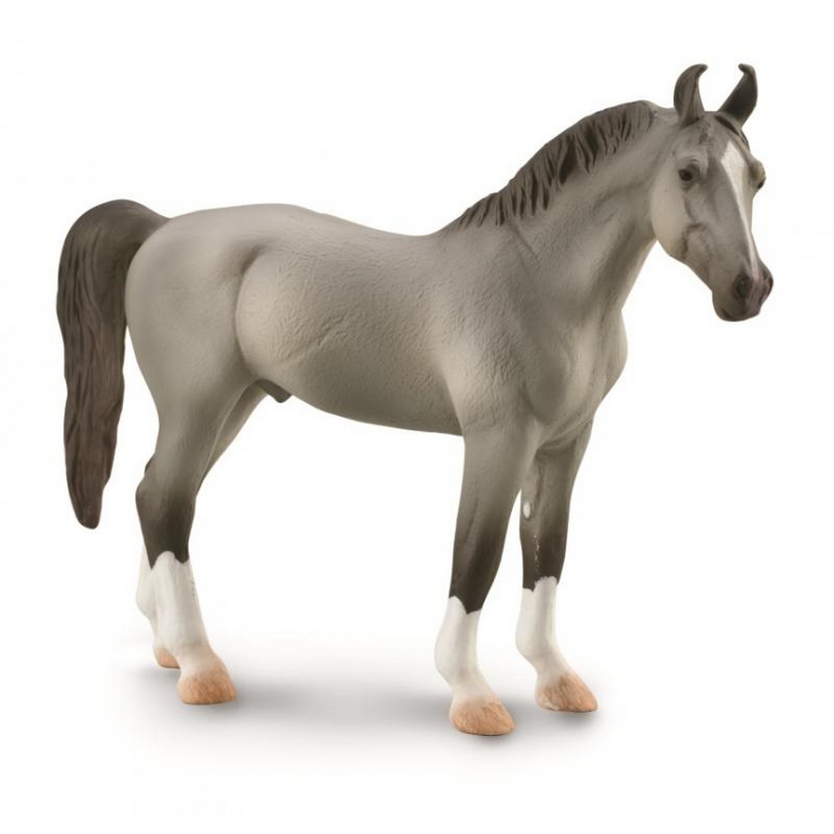 Marwari Stallion - Grey