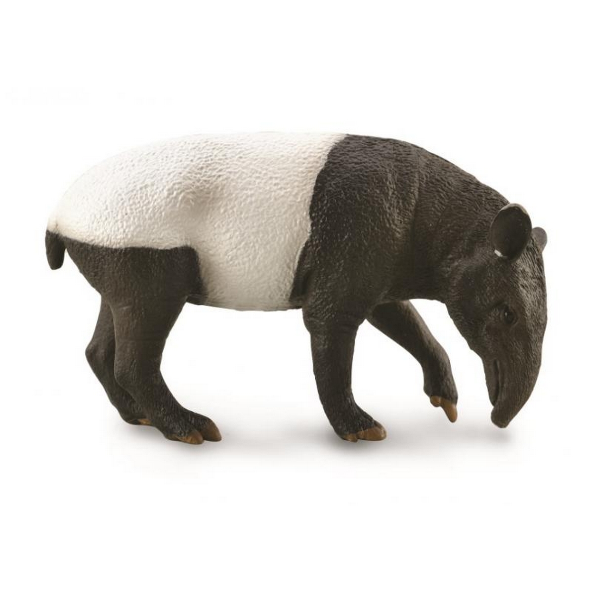 Tapiro Malese