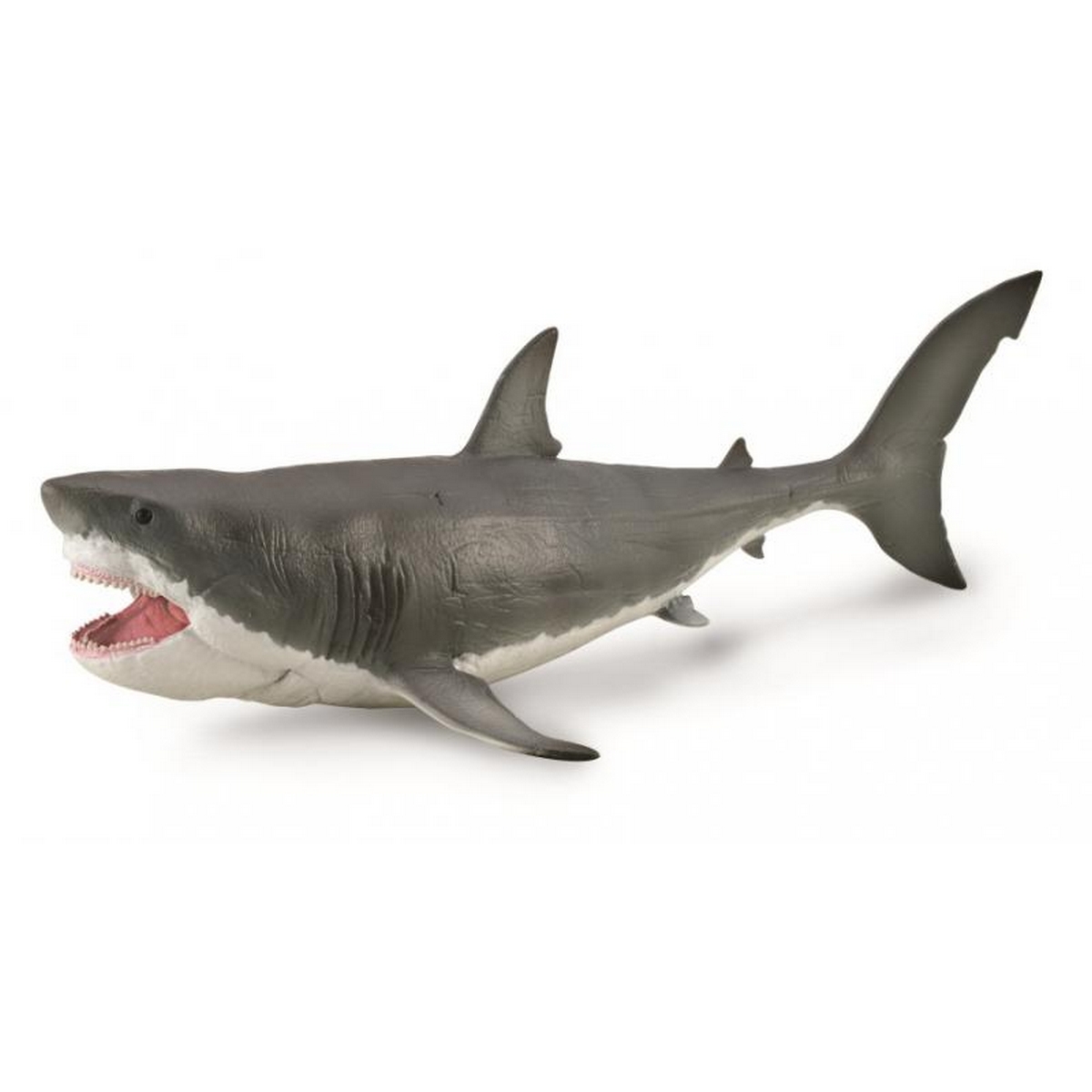 Megalodonte