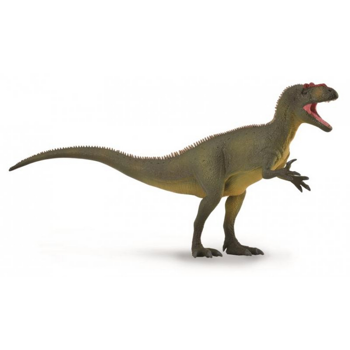 Allosaurus