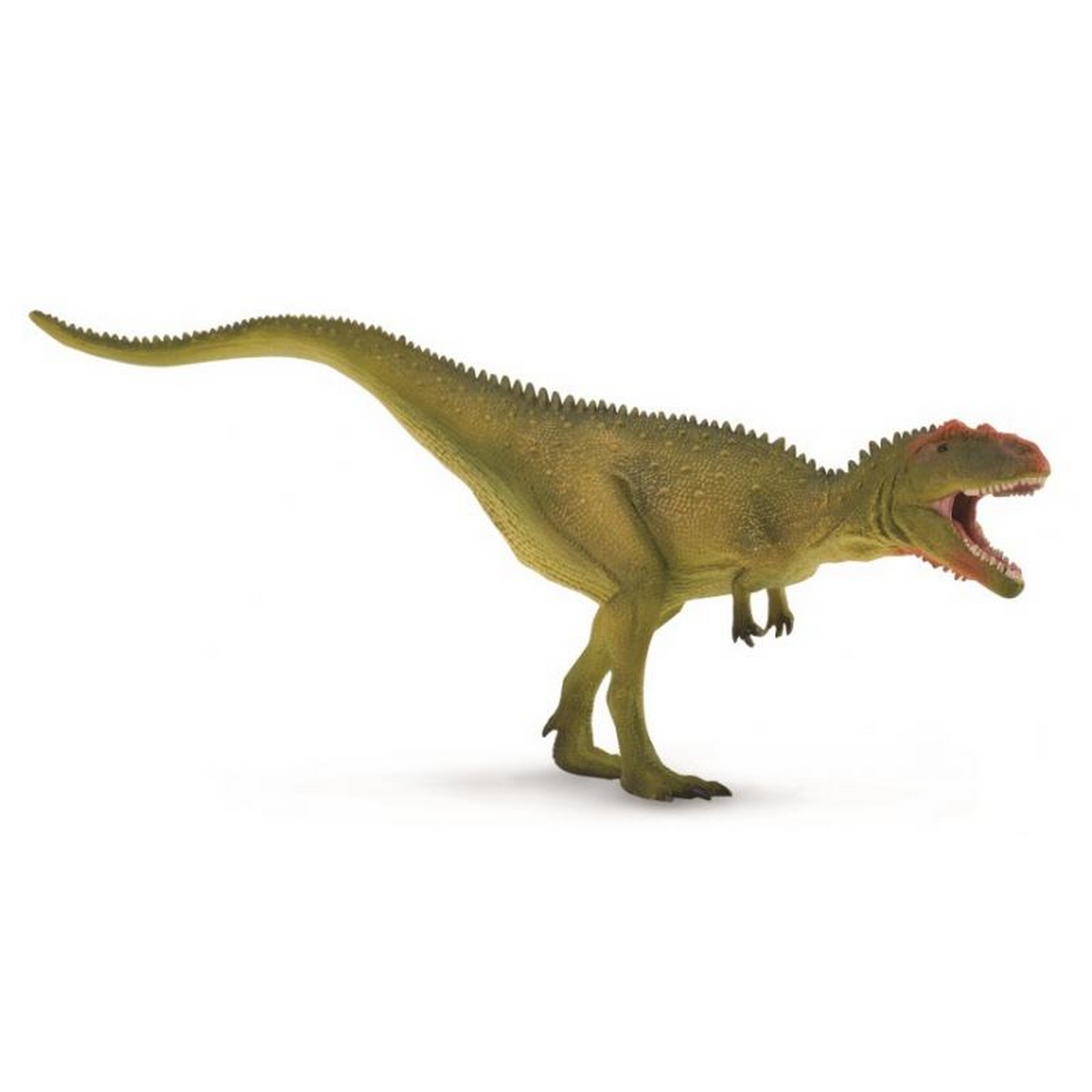 Mapusaurus