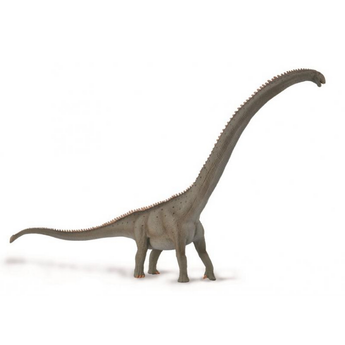 Mamenchisaurus