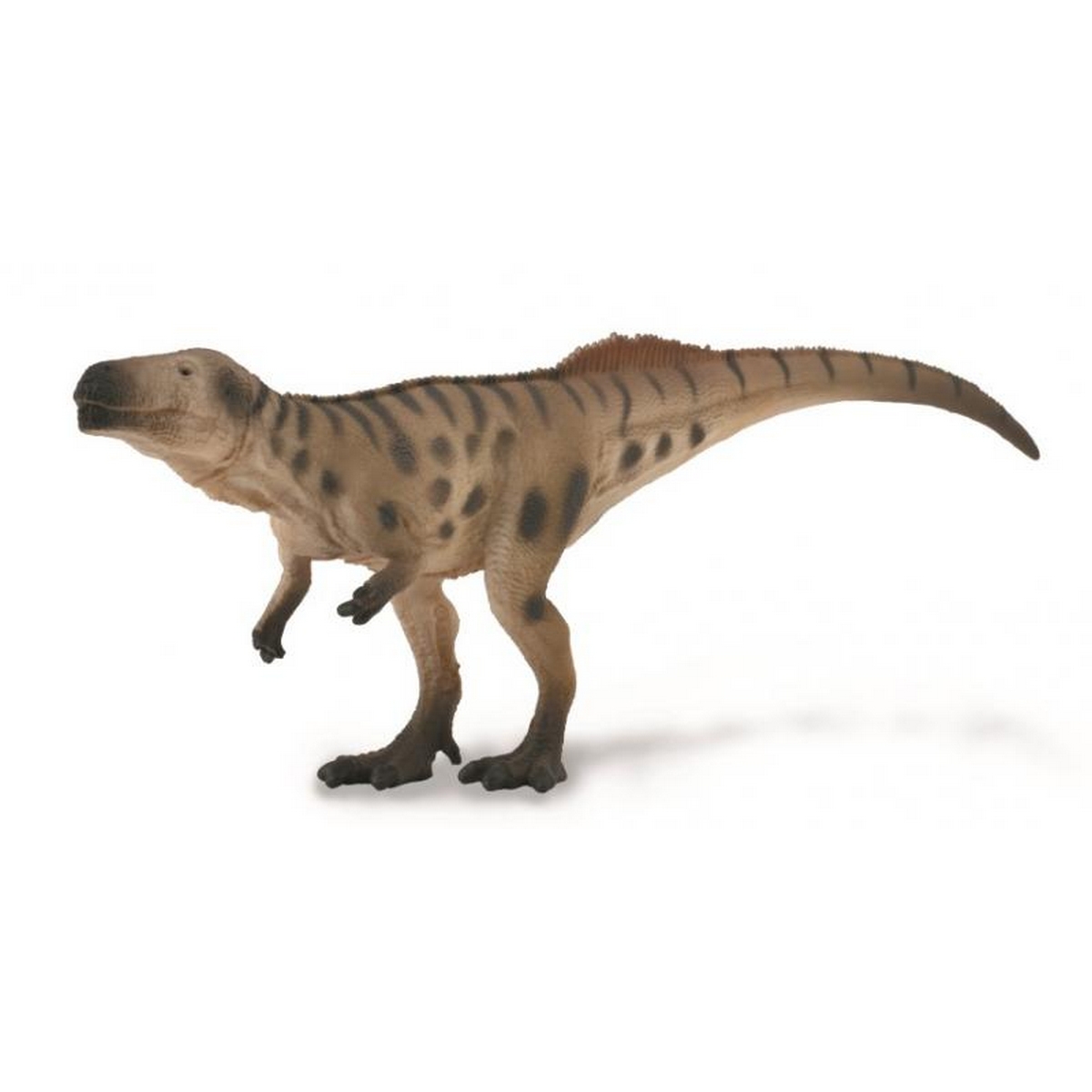Magalosaurus