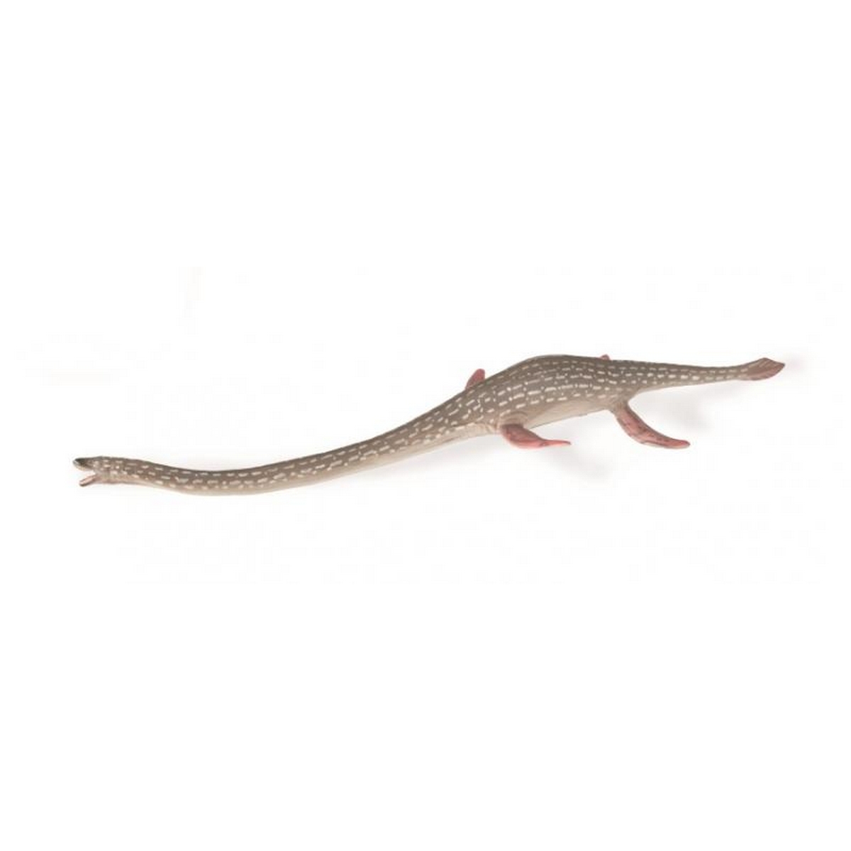 Elasmosaurus
