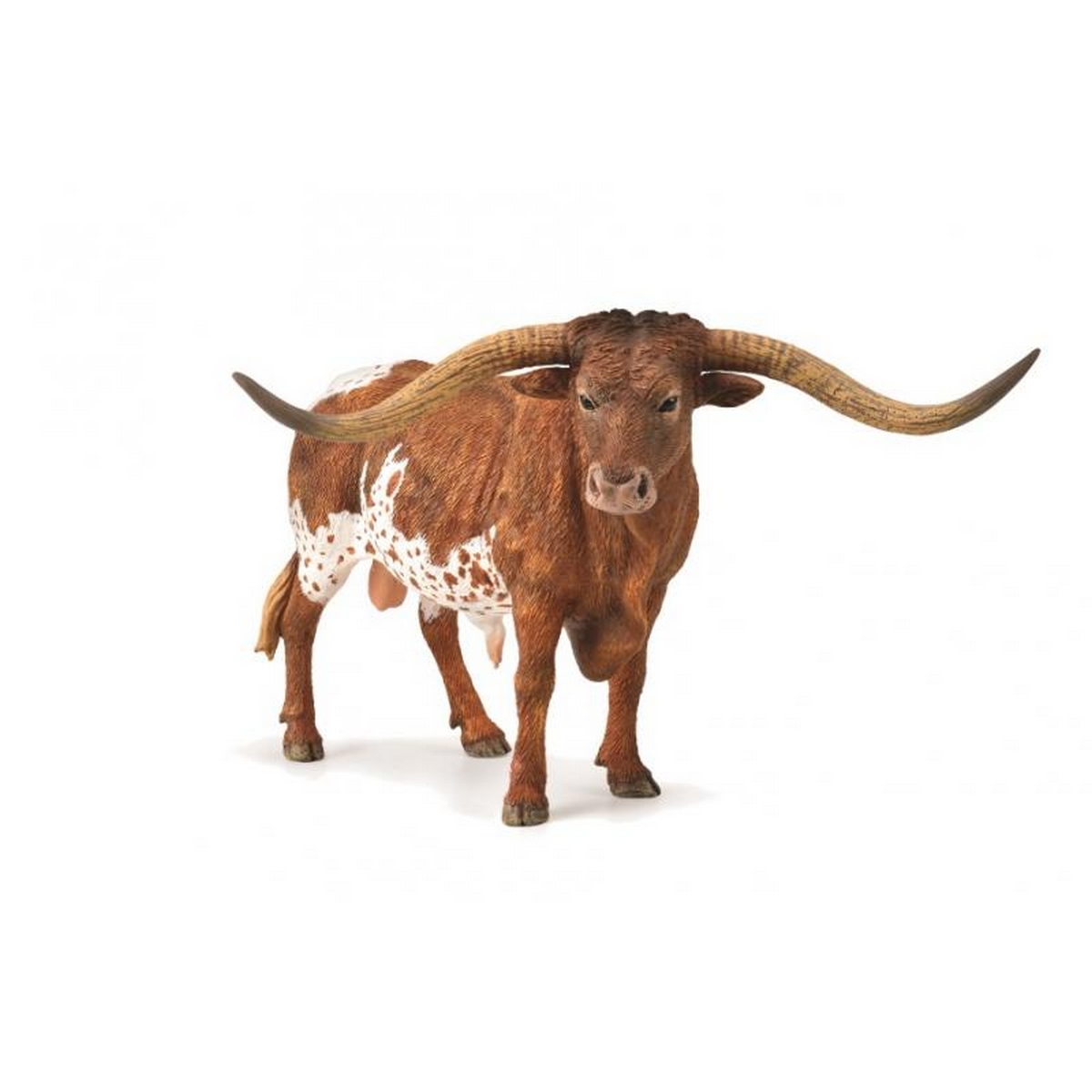 Longhorn del Texas