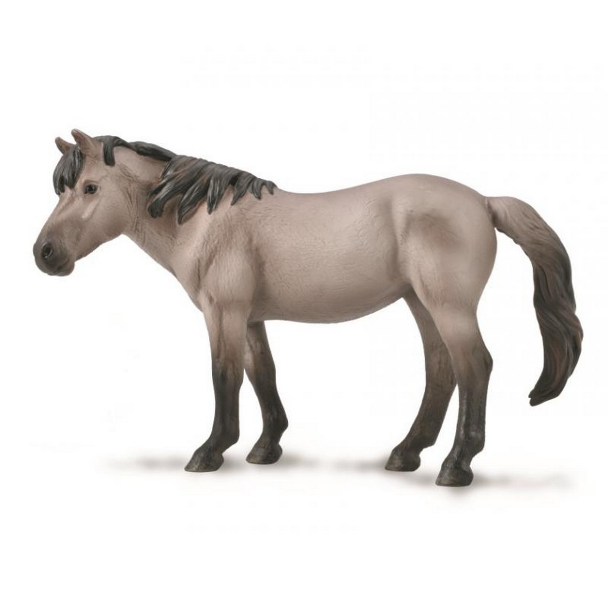 Konik Mare